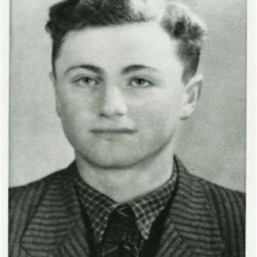 Henry Friedman - Poland