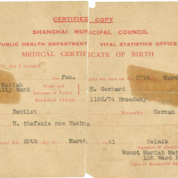 1. Hannah’s Birth Certificate 